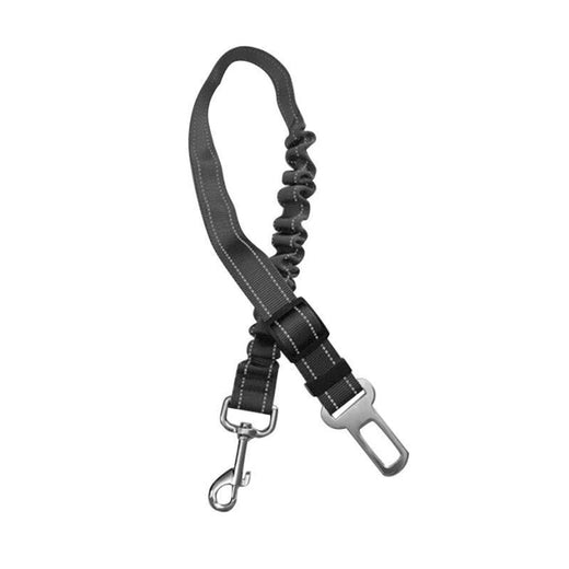 Cinturón de seguridad para perros