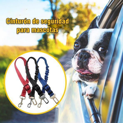 Cinturón de seguridad para perros