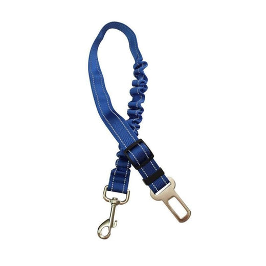 Cinturón de seguridad para perros