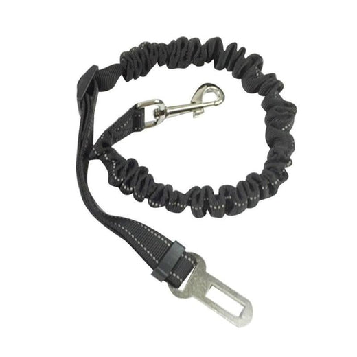 Cinturón de seguridad para perros