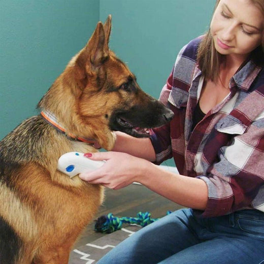 Removedor Eléctrico de Pulgas para Mascotas