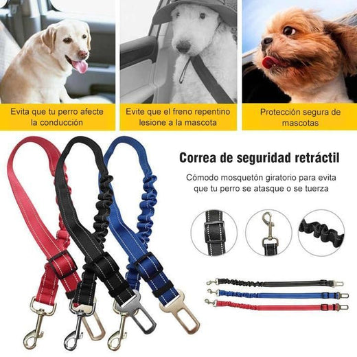 Cinturón de seguridad para perros