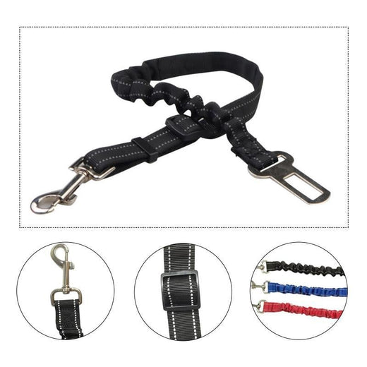 Cinturón de seguridad para perros