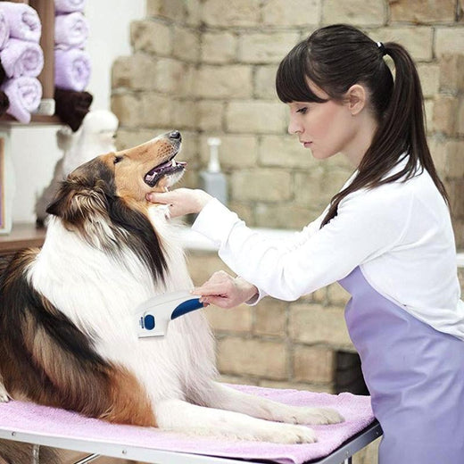 Removedor Eléctrico de Pulgas para Mascotas