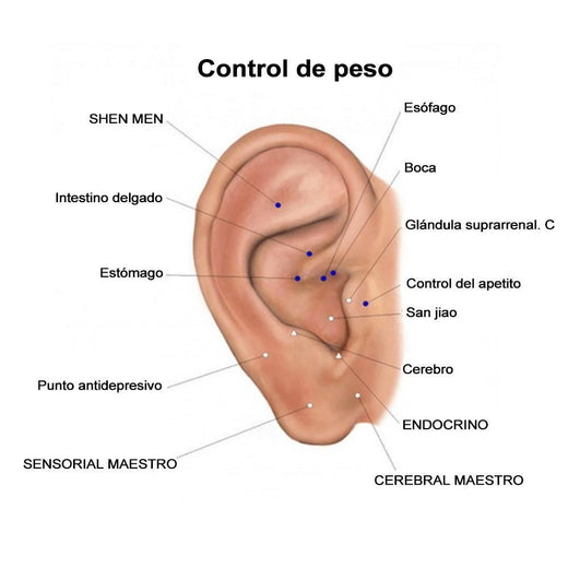 Pendientes de imán de acupresión (un par)