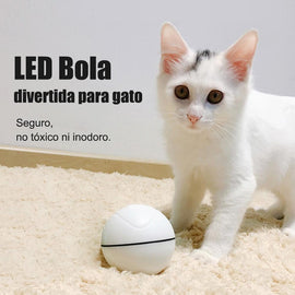 LED Bola divertida para gato, 3 colores