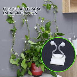 Clip de pared para escalar plantas